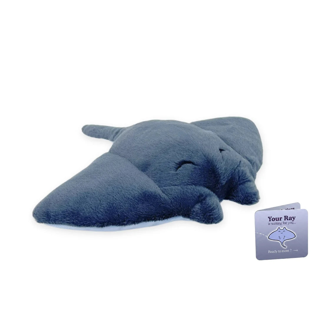 Peluche de adopción de animal marino — Raya, foto 7